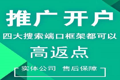 SEM广告投放的竞价策略与效果评估案例